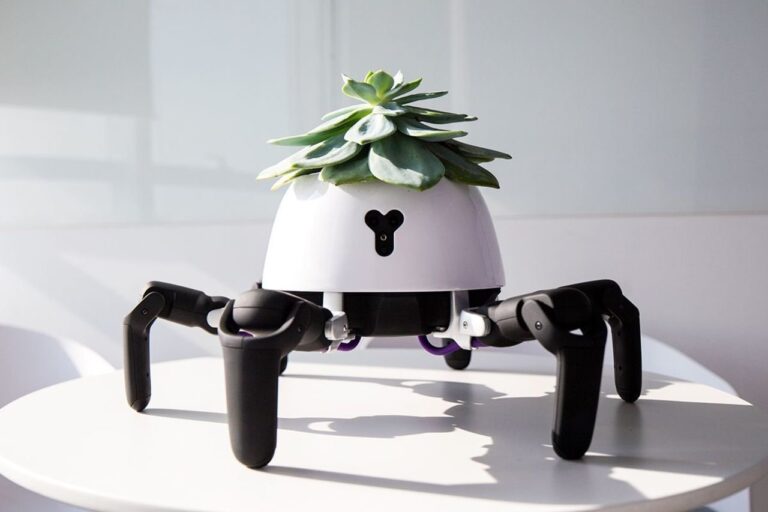 Green Thumb Gadgets: High-Tech Tools for Modern Plant Care