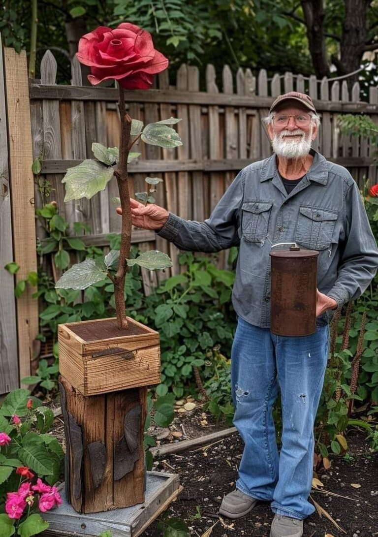 My dad made a wooden rose for our garden, please appreciate it