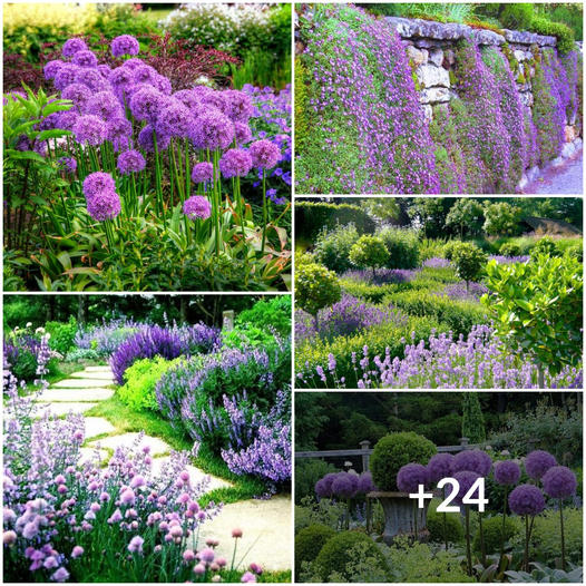 Enchanted Gardens: 24 Spellbinding Purple Landscape Inspirations