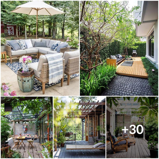 30 Inspiring Patio Garden Ideas to Transform Your Outdoor Space