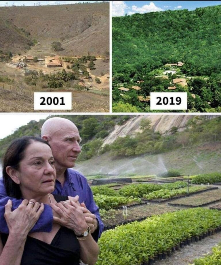 In Brazil, this couple planted 2 million trees in 18 years, returning 172 bird species, 33 mammals, 15 amphibians, 15 reptiles and 293 plant species.