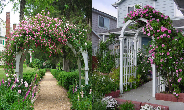 Revolutionize your outdoor oasis: 20 inspiring garden designs