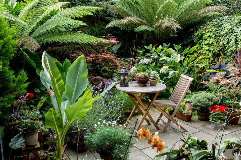 Inspirational garden ideas to transform your outdoor space