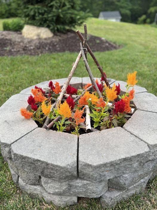 My celosia fire pit is filling in nicely.