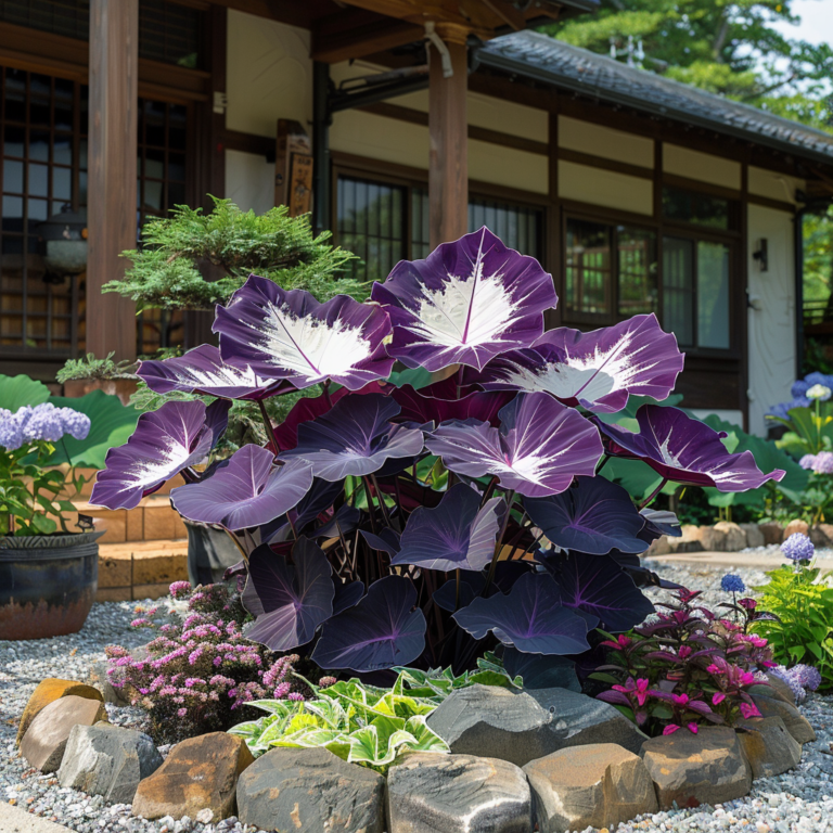 Exotic Foliage Wonderland: A Collection of Stunning Ornamental Plants