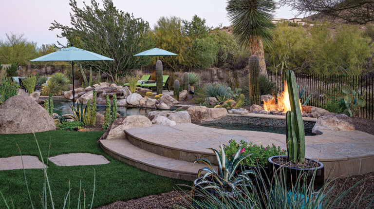 Create your own unique desert oasis with these easy landscaping ideas